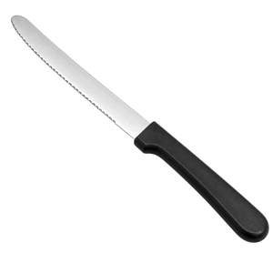 Plastic Handle Steak Knife - Element Event Solutions