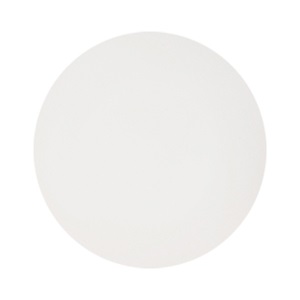 Kosher Eggshell Dinner Plate 10.75