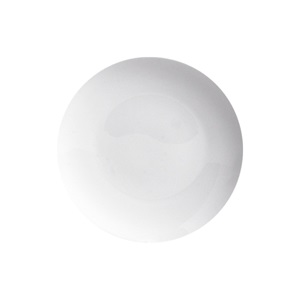 Kosher White Coup Dinner Plate 9