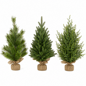 Evergreen Tree Assorted 16