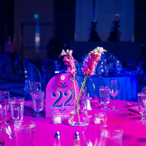 Fundraiser Gala - Element Event Solutions