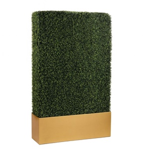 Greenery Wall with Gold Base 8' - Element Event Solutions