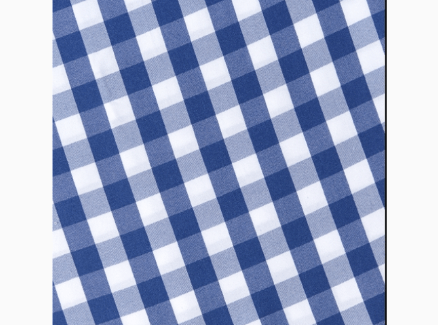 Blue & White Check Tablecloth 72