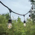 Black String Lights with Plastic Bulbs - Element Event Solutions