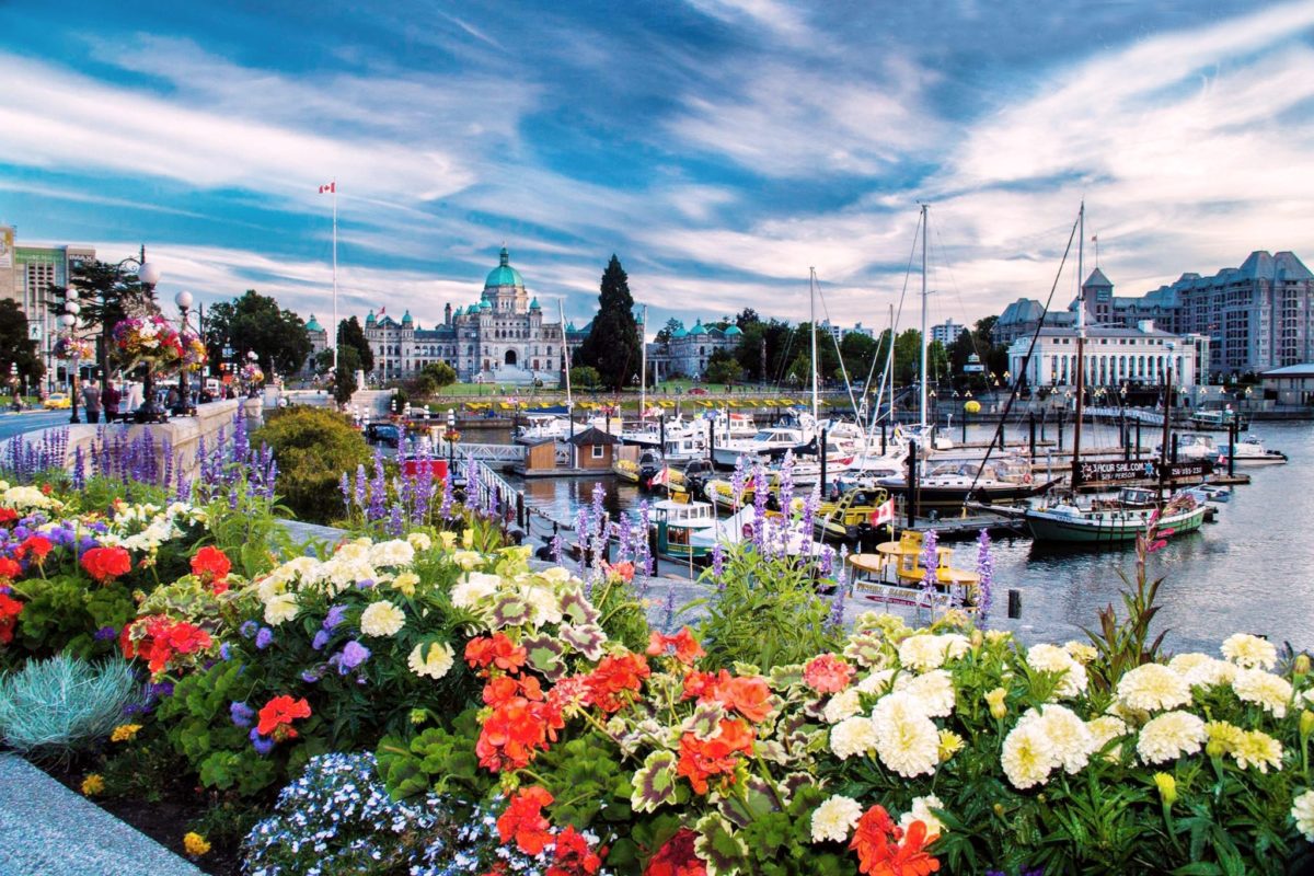 Event Rentals in Victoria